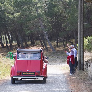 A half-day wine tour in a 2CV for the family